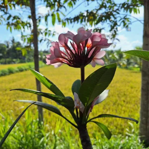 Bunga Maliq Bungalow Lombok, khách sạn ở Tetebatu