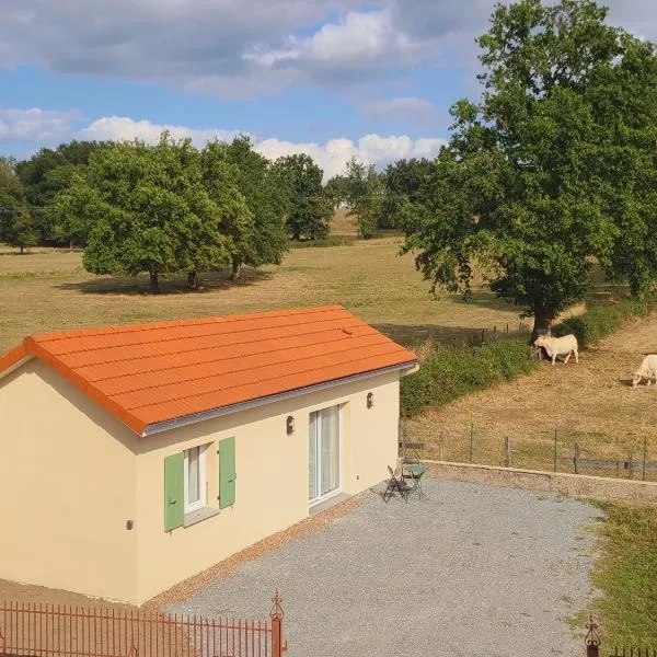 Tiny House moderne et son jardin privé - 5mn Roanne, hotell i Coutouvre