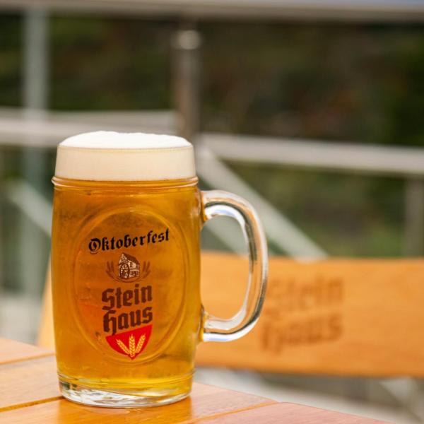 Pousada Stein Haus - Foto 4