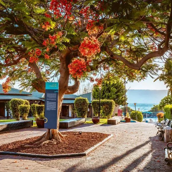 Daria- Authentic Israeli Experience, hotel in HaOn