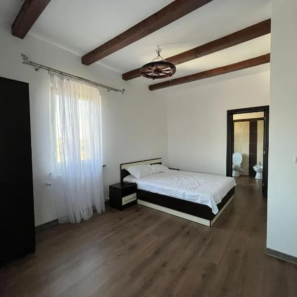 Pensiunea La Conac, hotel din Bîrlad