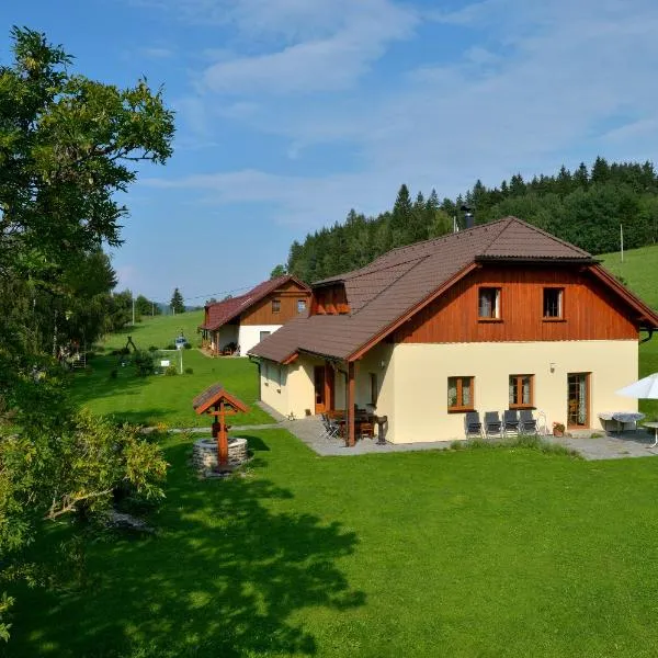 Šumavské apartmány、Zdíkovのホテル