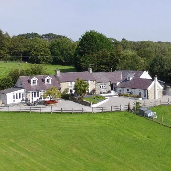 Horsemanstone, hotel a Amroth