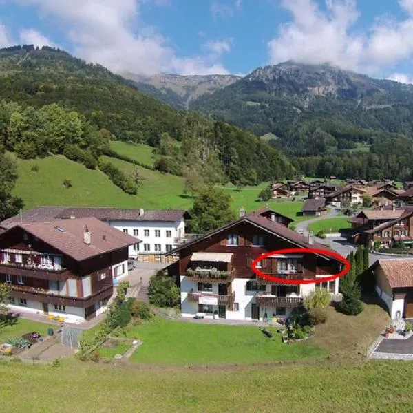 Maisonette 4.5 Zimmer, Nähe Ballenberg, hotel in Hofstetten 