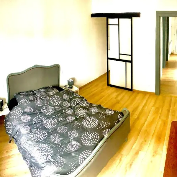 L indémodable rénové spacieux et lumineux avec 2 chambres, готель у місті Сарбур