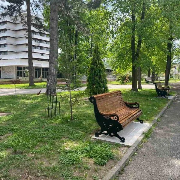 Hotel Termal, hotel di Mataruška Banja