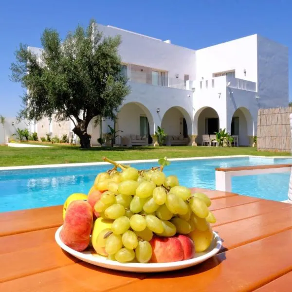 Dar Habiba, hotel a Hammamet