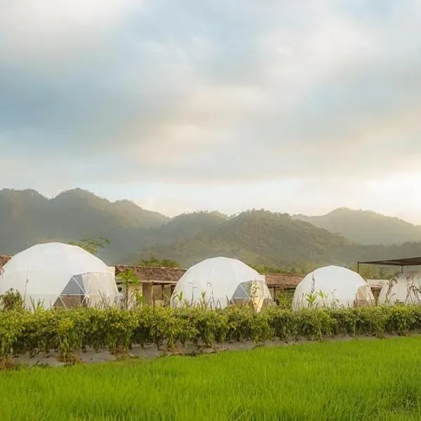 Borobudur Luxury Glamping, hótel í Magelang