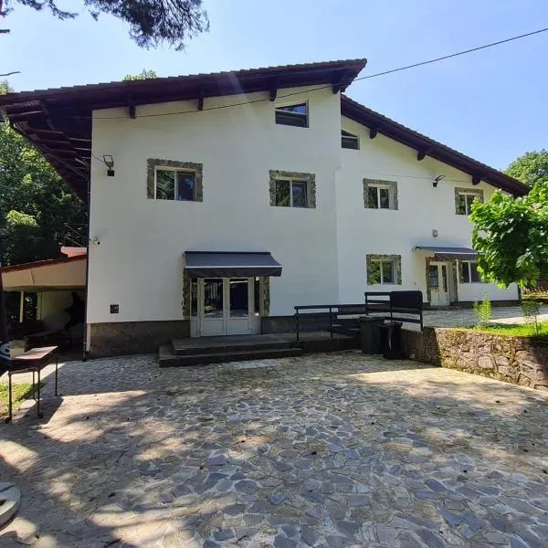 Pensiunea Puiu, hotel in Moroeni