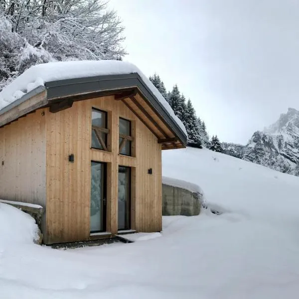 Chalet*** au pied d'une prairie face à la montagne, hotel u gradu Sixt