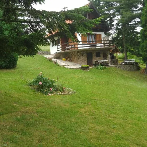 Apartmani Planinska kuća, Jagodnja, hotel in Vranić