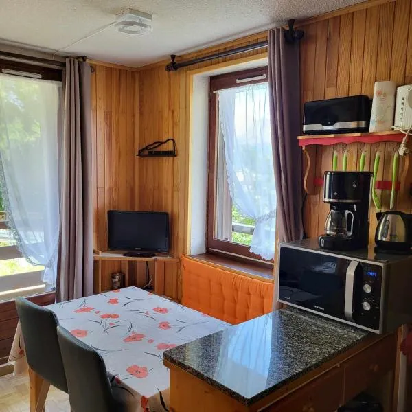 Enjoy, hotel in Puy-Saint-Vincent