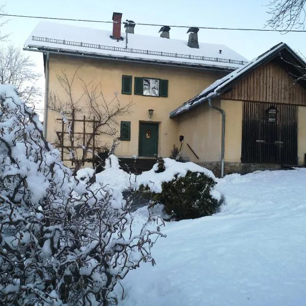 Ferienwohnung im alten Zollhaus, hotel in Dellach
