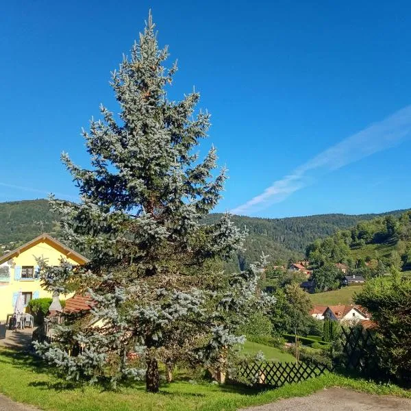 Les Sapins, hôtel à Bussang