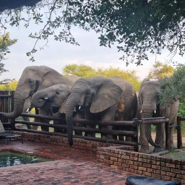 Bateleur Lodge, Mabalingwe, hotel in Bela-Bela