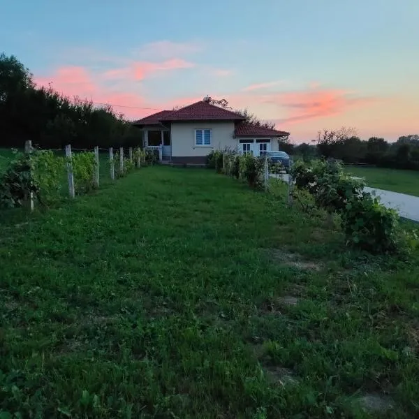 Apartman Milenkovic, hotel v destinaci Malo Laole