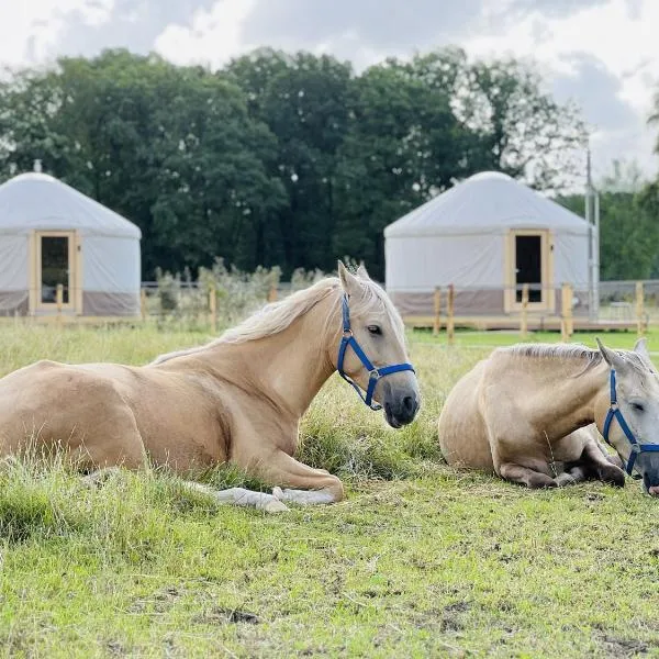 Magnolia Hoeve - Unieke Bestemming voor Paardenliefhebbers en Bijzondere Overnachtingen in de natuur, hotel v destinaci Ledeacker