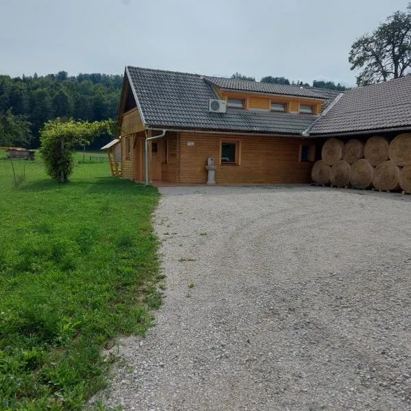 Apartma Markelj, hotel v destinaci Radovljica