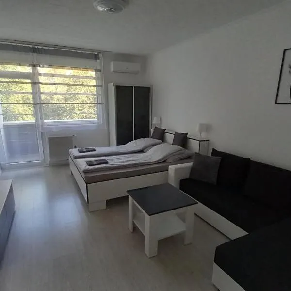 Grey Harmony Apartman, hotel v destinaci Debrecín