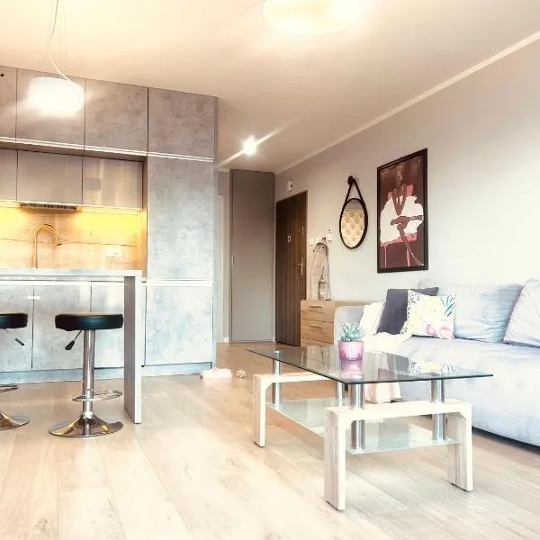 DowntownApartments Carrie, hotel in Rzeszów