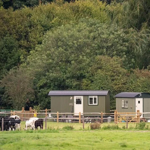 Shepherds Huts Tansy & Ethel in rural Sussex, hotel v mestu Arundel