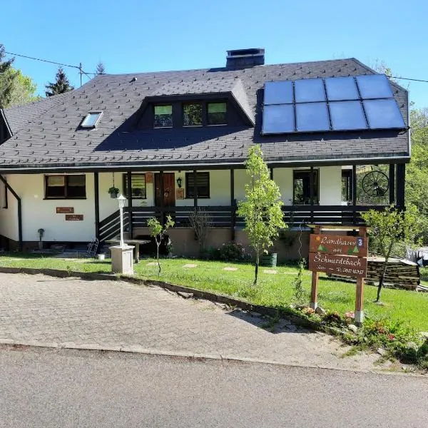 Landhaus Am Schmiedebach, hotel in Wittenschwand