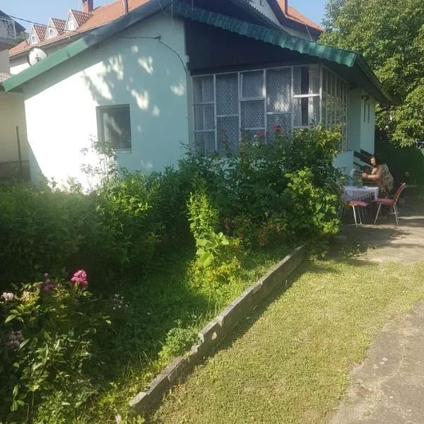 VILA MILA SOKOBANJA, hotel v destinaci Soko Banja