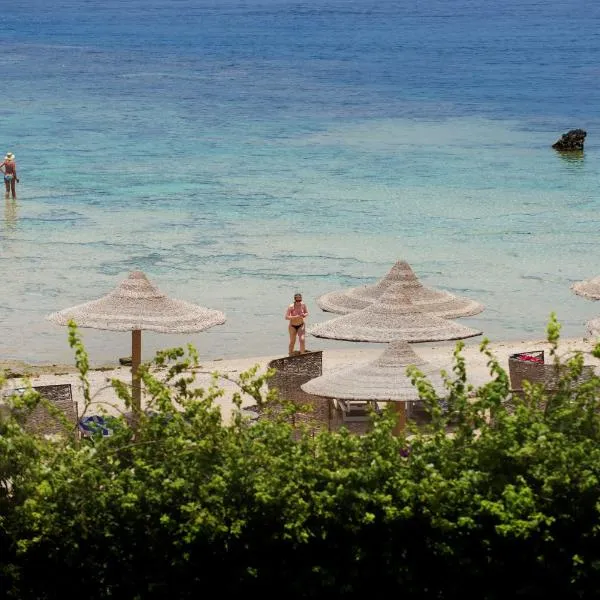 Concorde Moreen Beach Resort, hotel v destinaci Abu Dabab