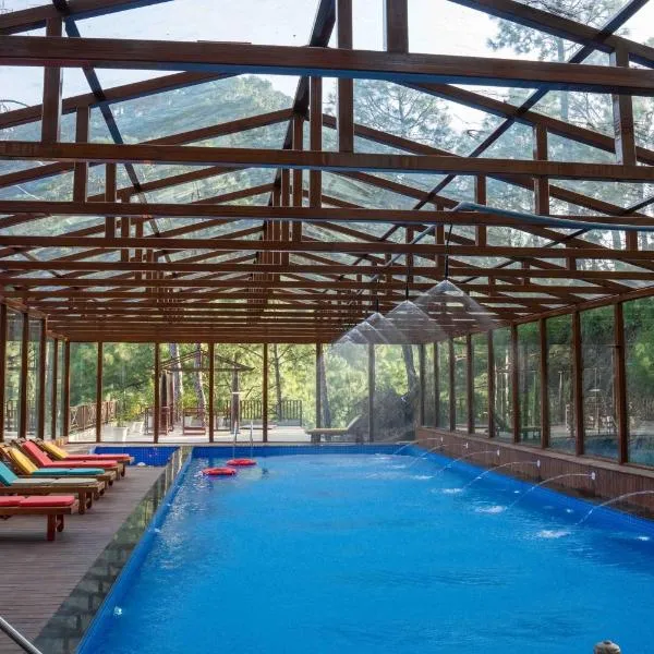 Chillaru Spa & Resort, hotel v destinaci Kasauli