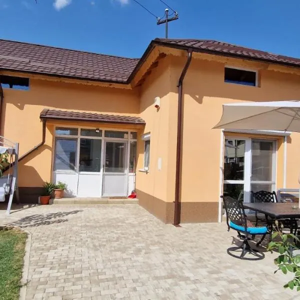 Casa Anton Buzău, Hotel in Buzău