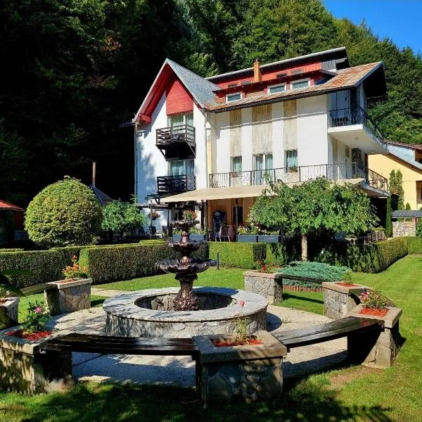Villa Onix, Hotel in Sinaia