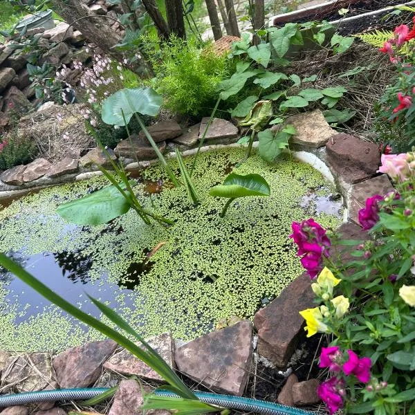 Naturpark Schwarzwald, hotel in Neubulach