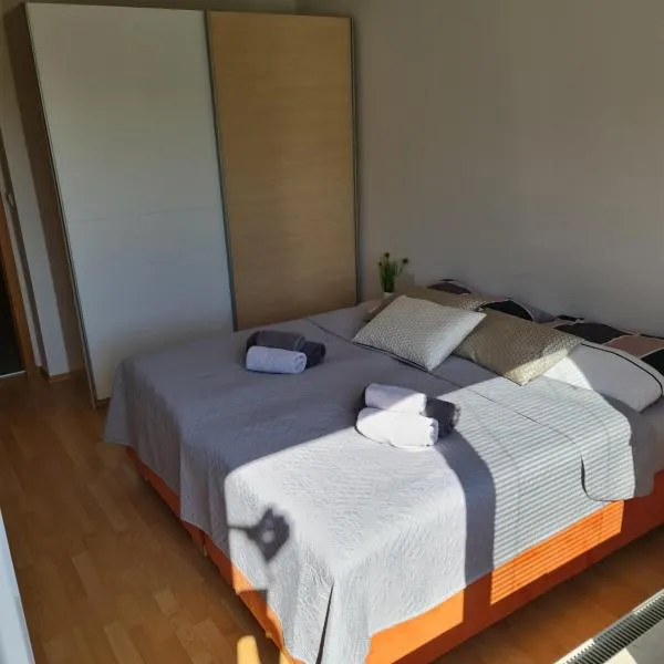 Apartment Carolina, hotel v destinaci Rogašovci