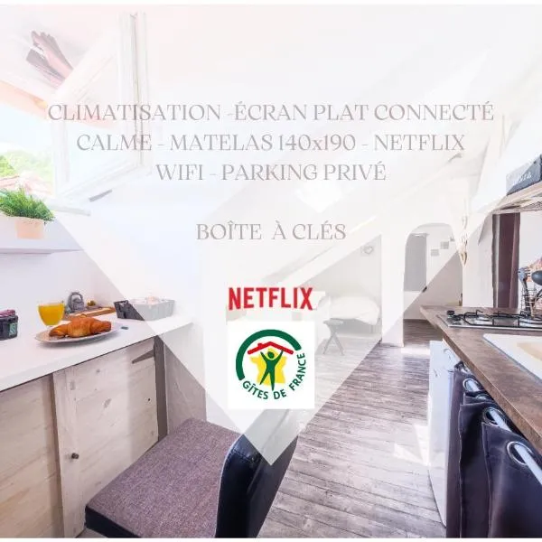 Studio duplex atypique, classé Gîte de France, CLIMATISATION, parking, lit double, calme et cosy, Netflix, wifi, 400m centre, boîte à clés, Gîtes La Tarine, ξενοδοχείο σε Albertville