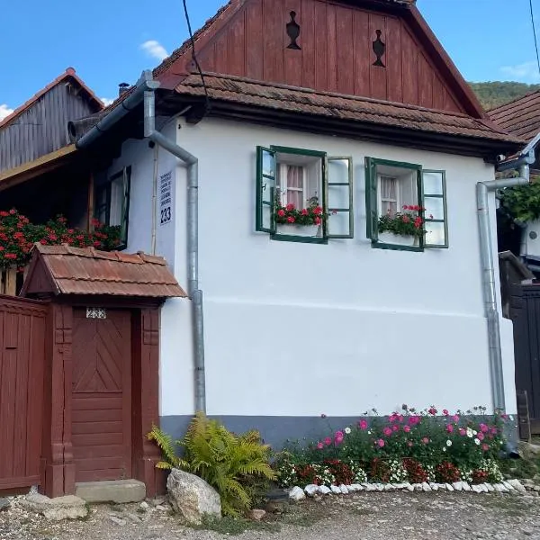 Casa Kelemen Irén, hotel in Muntele Cacovei