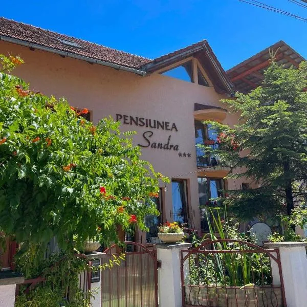 Pensiunea Sandra, hotel di Ocna Sugatag