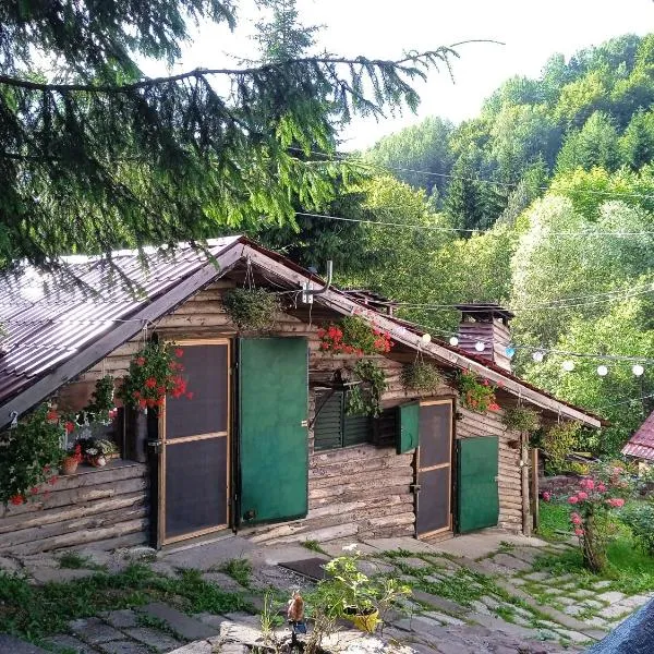 Zimska idila, hotel u gradu Crni Vrh