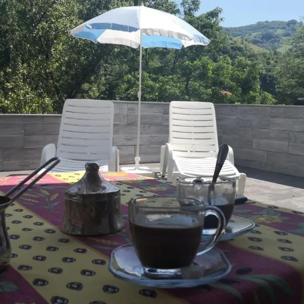 DALIA Apartment, hotel in Zenica