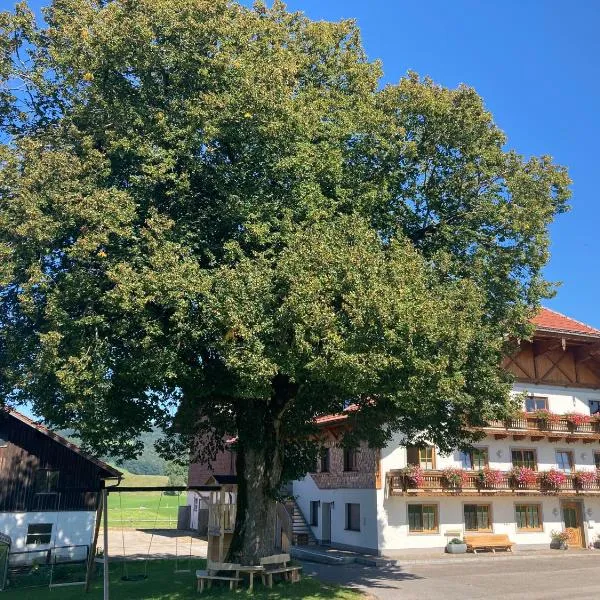 Biohof-Feichtinger, hotel in Zell am Moos