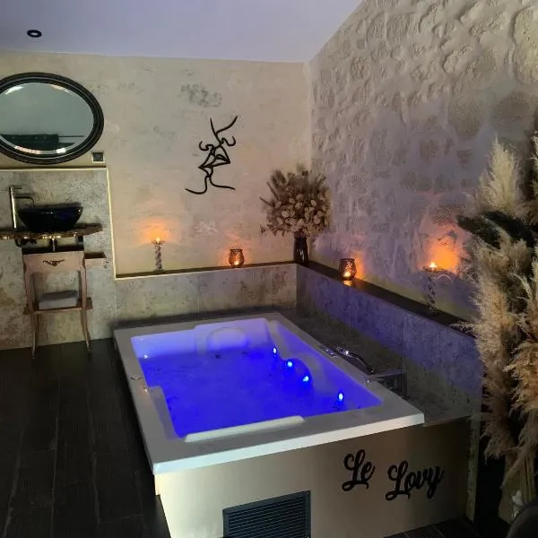 Le Lovy , Studio indépendant avec Jacuzzi, hotel en Saint-Savin-de-Blay