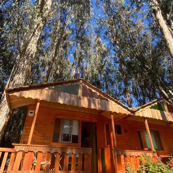 Suite con DESAYUNO SOLO PARA DOS Ó Cabañas familiares Los PINARES DEL MAR -Pet friendly, hotel v destinaci Isla Negra