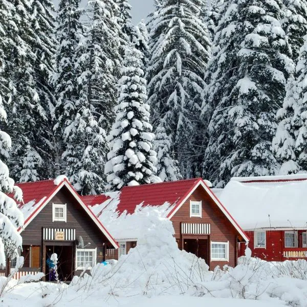 Alpine ski chalet Borovets with sauna, hotel in Borovets
