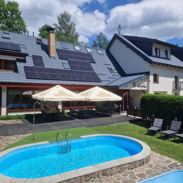 Horský Hotel Sněženka, hotel v destinaci Hynčice pod Sušinou