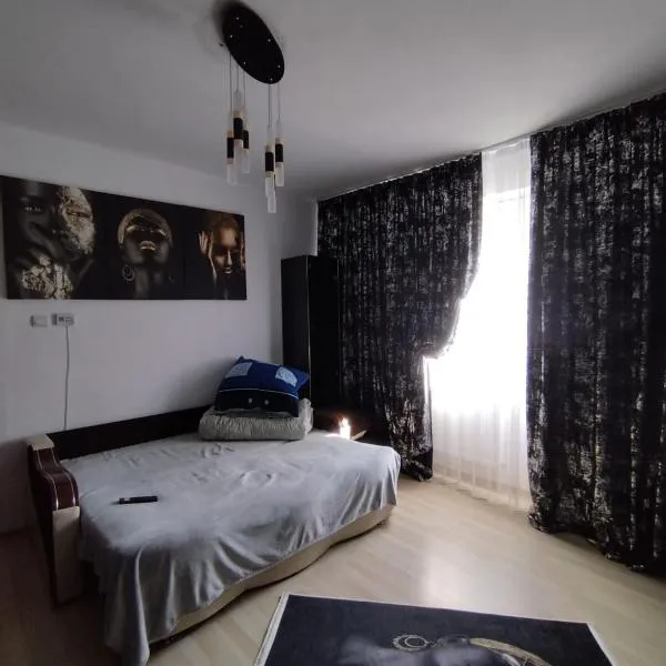 Simi Residence, hotel in Petroşani
