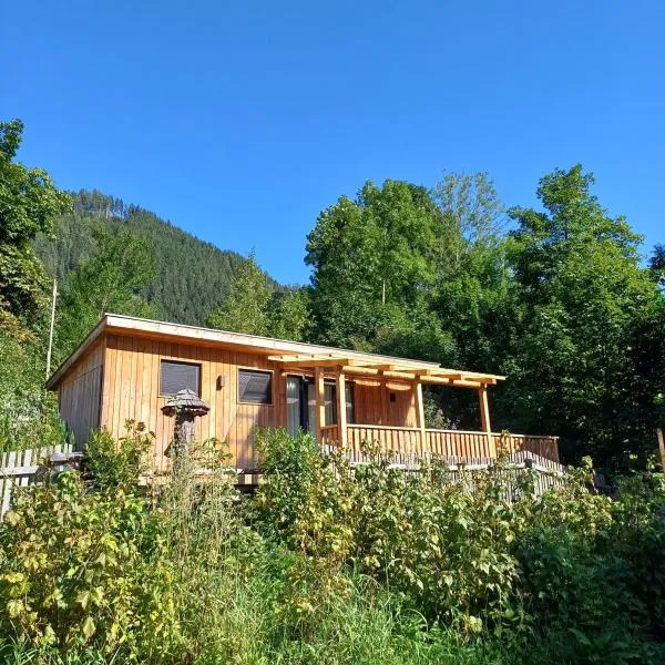Tiny House am Steinergut, hotel v destinaci Radstadt