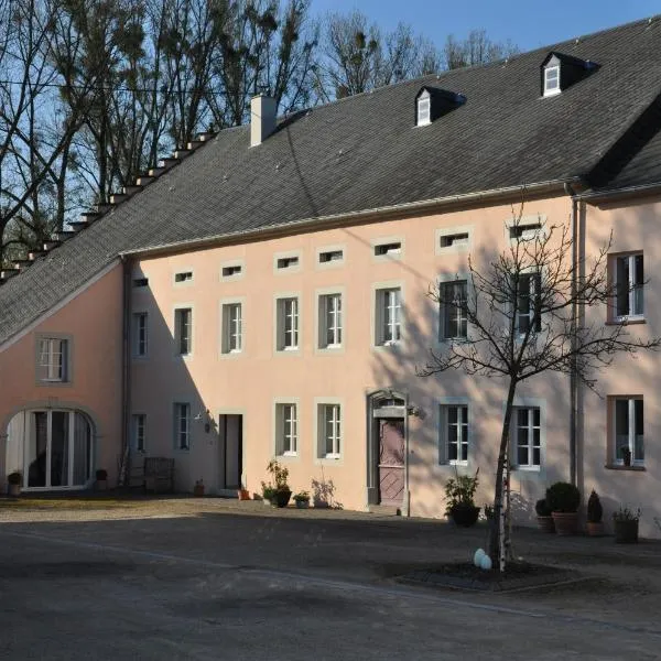 Alte Schmiede in denkmalgeschützter Hofanlage, hotel in Messerich
