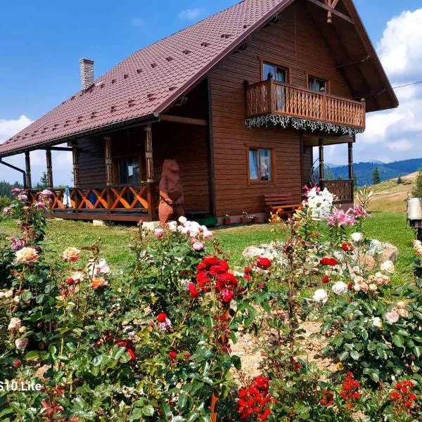 Карпатська Модринка – hotel w mieście Worochta