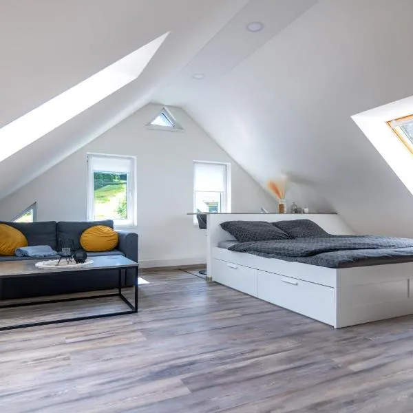 Apartmán Janov, hotel v destinaci Janov nad Nisou