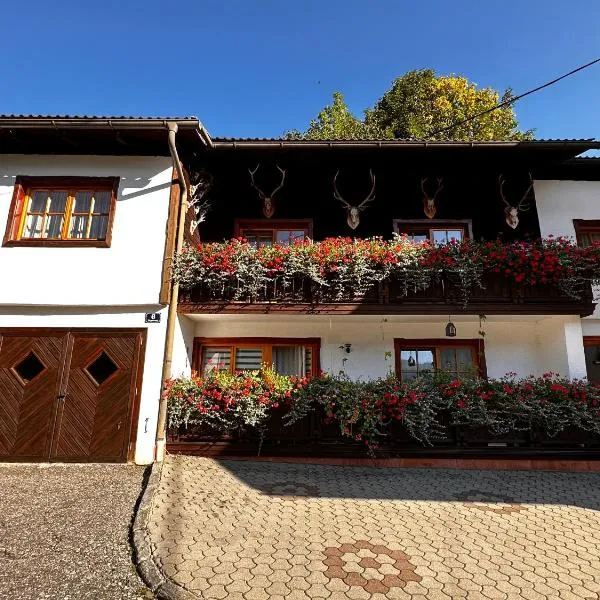 Haus Wagner, Hotel in Bad Kleinkirchheim