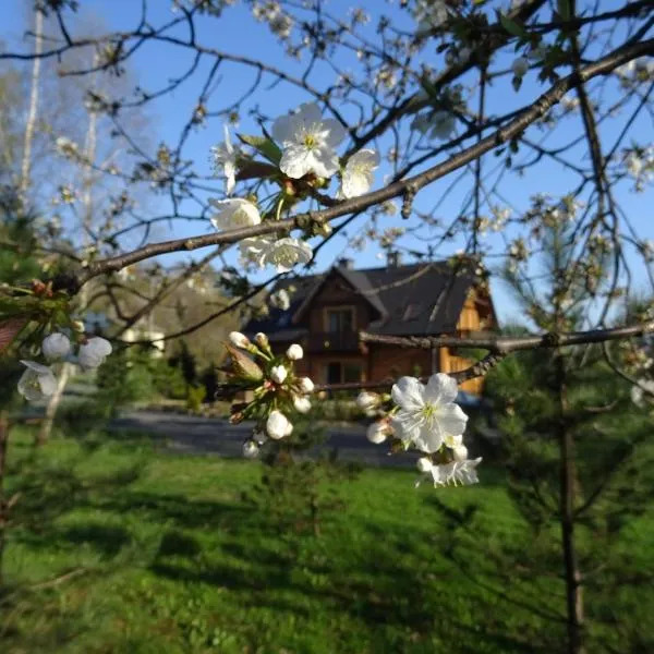 Willa Potoczówka: Rzyki şehrinde bir otel